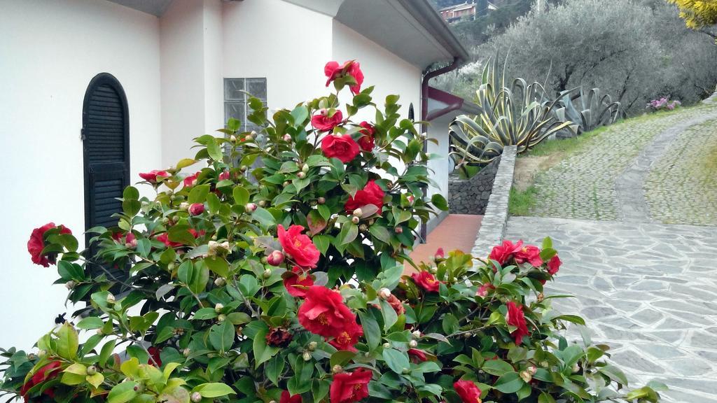 Villa Il Pettirosso ラ・スペツィア 部屋 写真